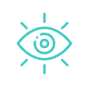 Vision